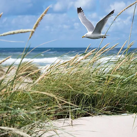 By The With Stunning Sea View Lejlighed *