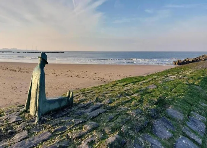 By The With Stunning Sea View