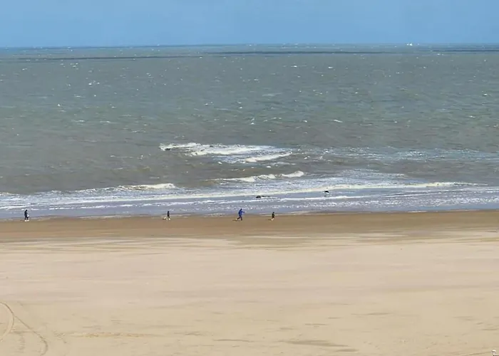 By The With Stunning Sea View Knokke-Heist