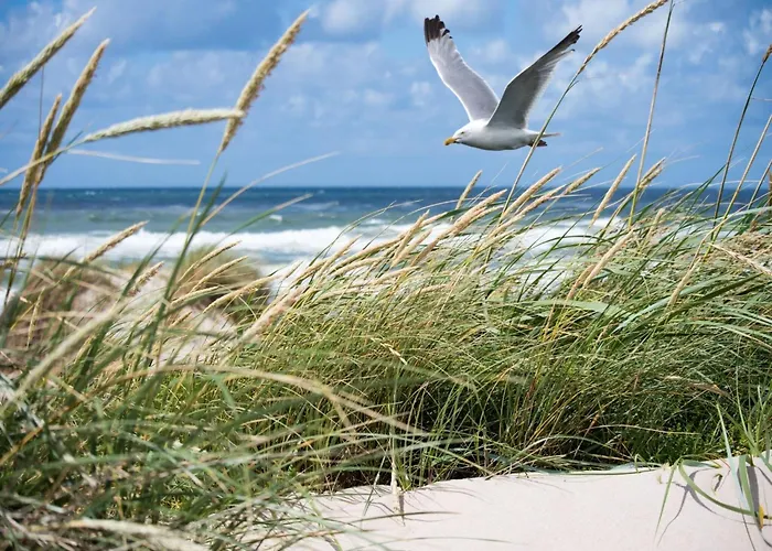 By The With Stunning Sea View Appartement *